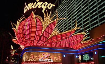 dan tanna flamingo neon